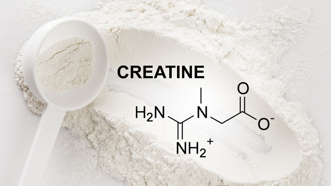 Creatine: The Secret Weapon for Sports Performance