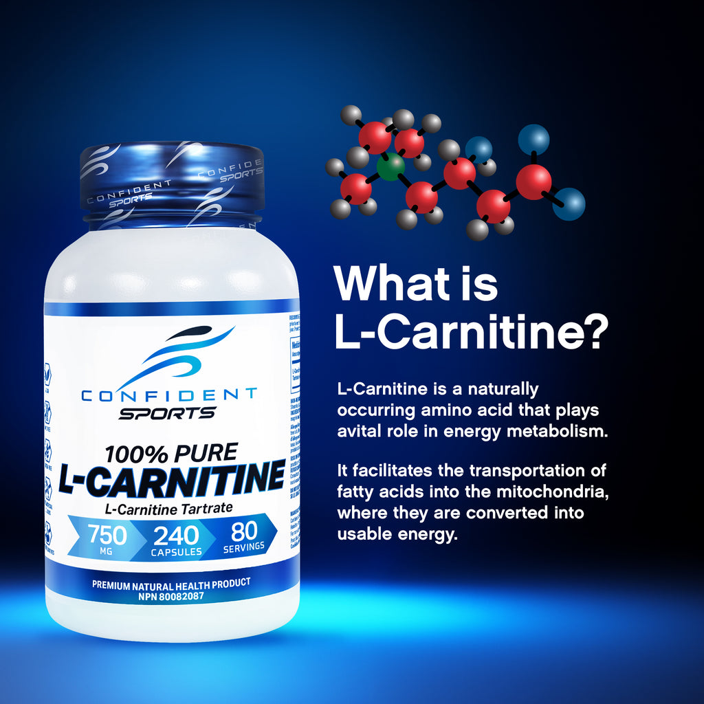 Confident Sports | L-Carnitine Confident Health Confident Sports | L-Carnitine Confident Health