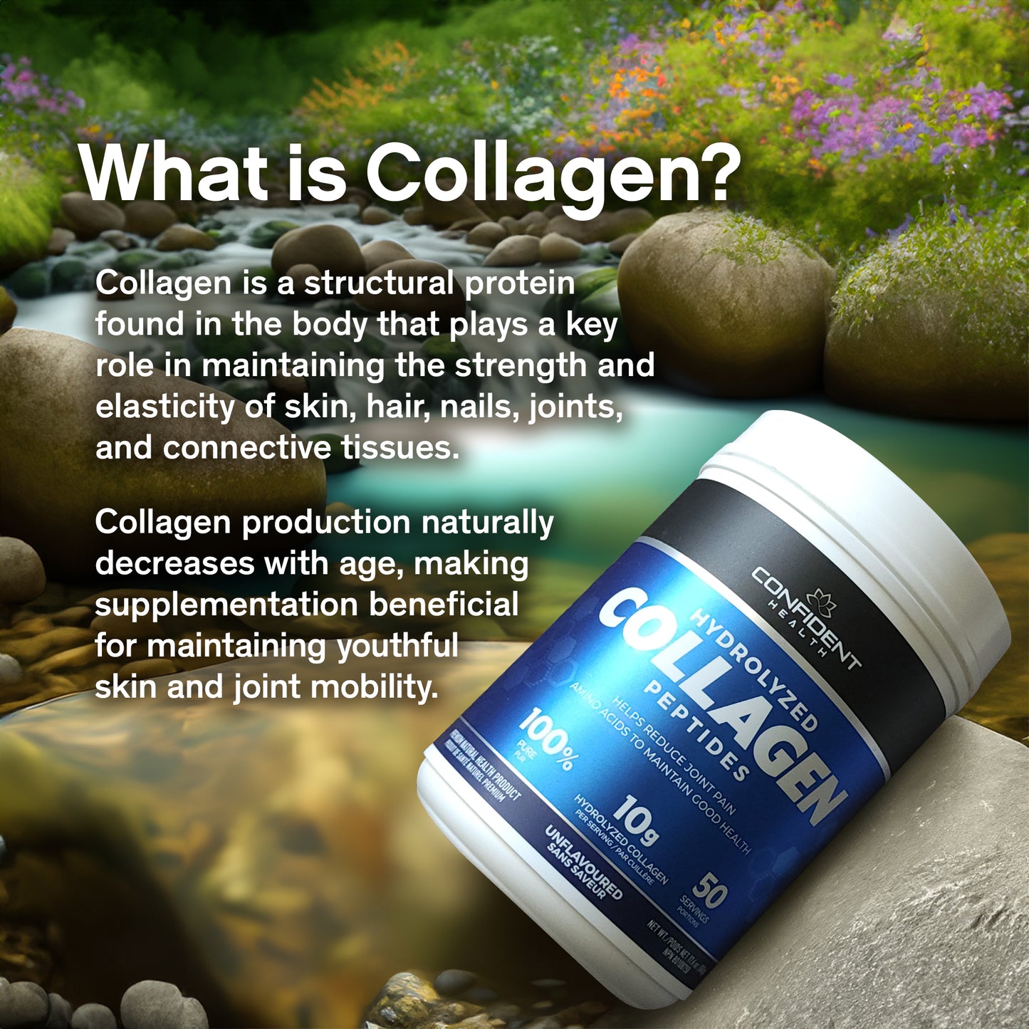 Hydrolyzed Collagen (500g) TEST