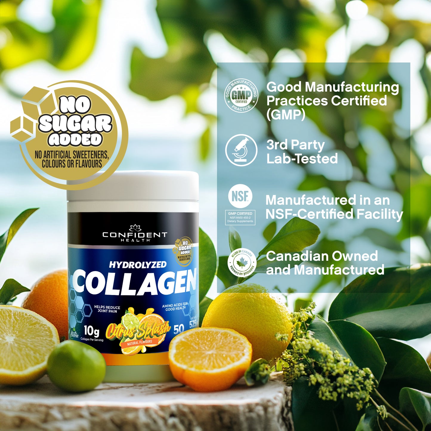 Hydrolyzed Collagen (500g) TEST