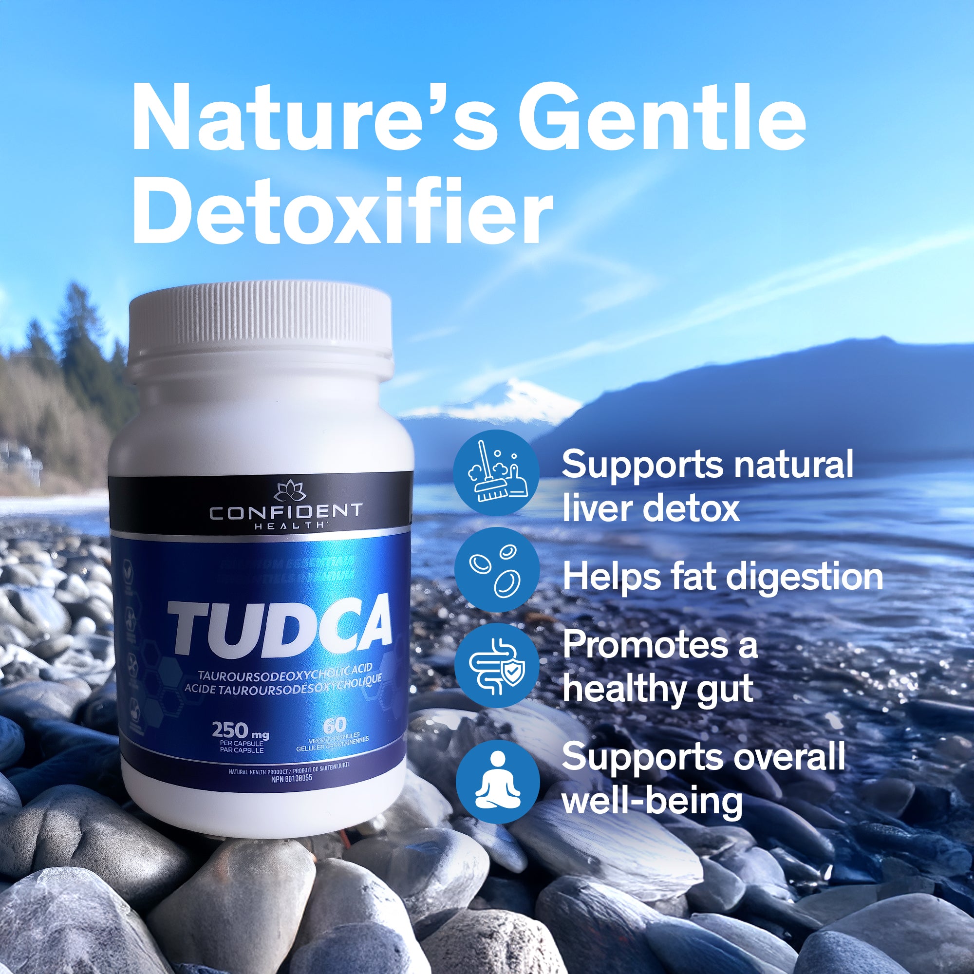 TUDCA
